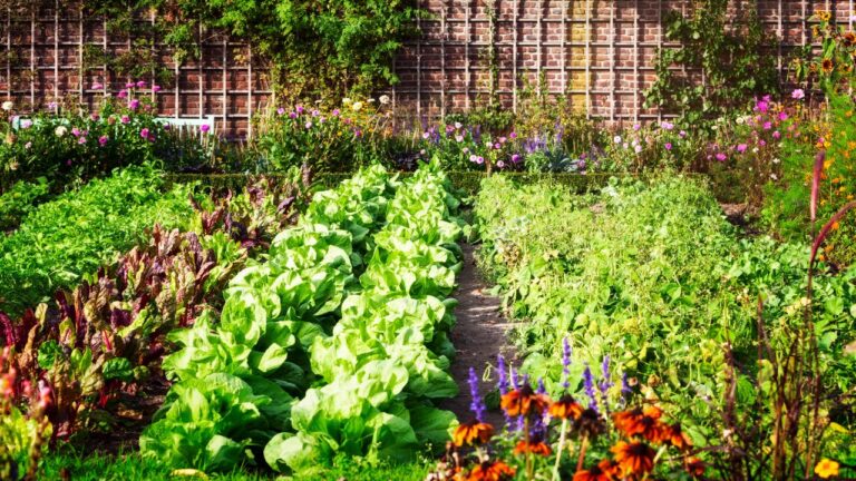 The Pros and Cons of Outdoor Gardening for Apartments